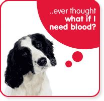 Launched in 2007, pet blood bank uk is the only charity that provides a blood bank service for all vets across the uk. Pet Blood Donors - Shinga