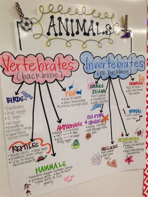 Animal Classification Elementary Science 5th Grade Science Science