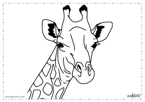 Desenhos De Girafas Para Colorir Sexiz Pix
