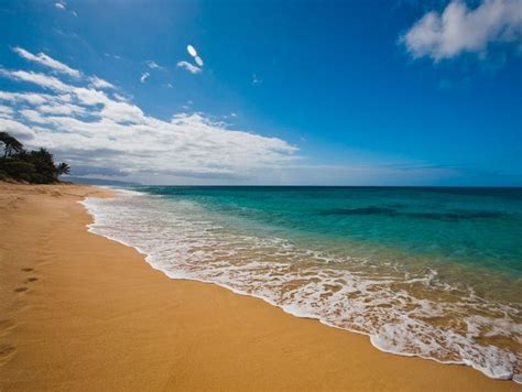 North Shore Oahu Beaches Swimming Hotel And Beach My Xxx Hot Girl