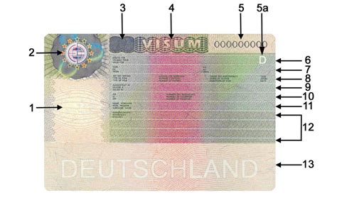 Pouvez Vous Nommer Ces Pays Sur Le Visa Schengen R Ponses Ici