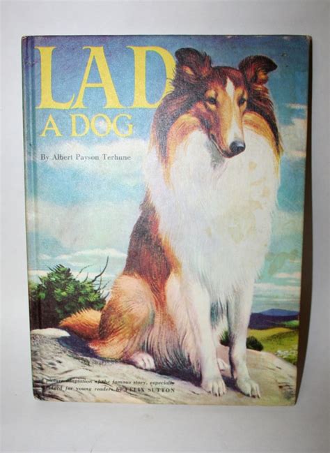 Lad A Dog Vintage Book Children Book Collie