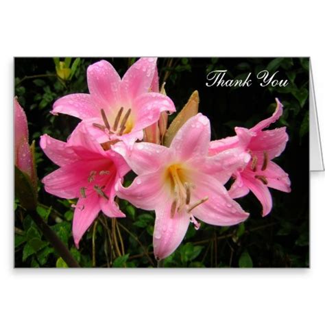 Maybe you would like to learn more about one of these? Writing Condolence Thank You Notes