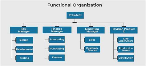 Functional Organizational Structure Everything You Need To Know