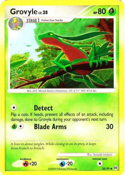 Pokémon Card Database Arceus 38 Grovyle