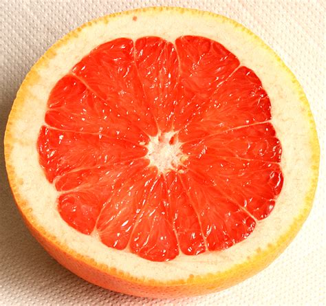 Filegrapefruit Schnitt 2008 3 3 Wikipedia