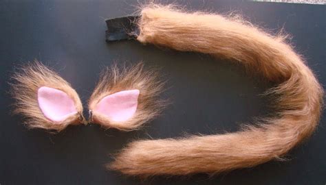 Orange Cat Ears And Tail Set By Webdragon On Deviantart