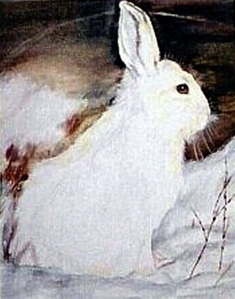 Snow Bunny By Debra Sandstrom