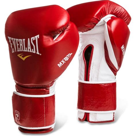 Everlast Boxing Gloves Ranking Top19
