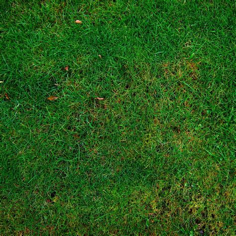 Seven Free Grass Textures Or Lawn Background Images