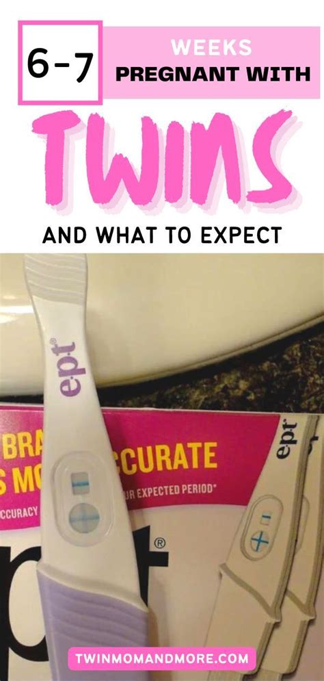 Twin Pregnancy Weeks 6 And 7 What To Expect Artofit