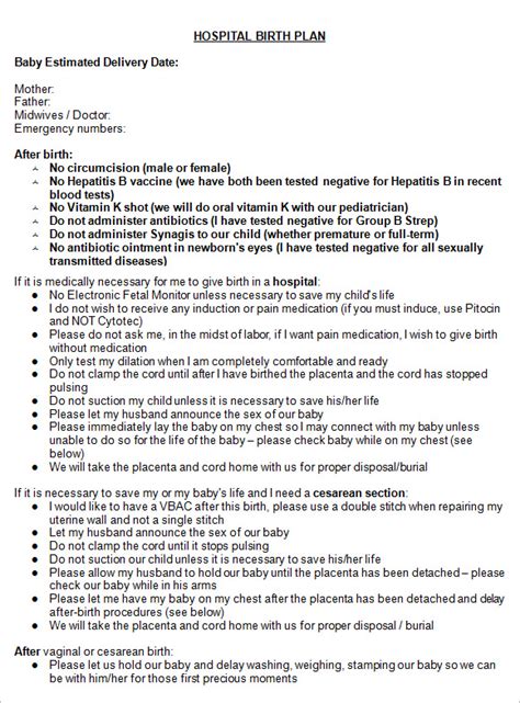 birth plan templates  google docs ms word