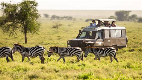 Discover And Explore Amazing Ababa Uganda Safari Tours Uganda Safaris