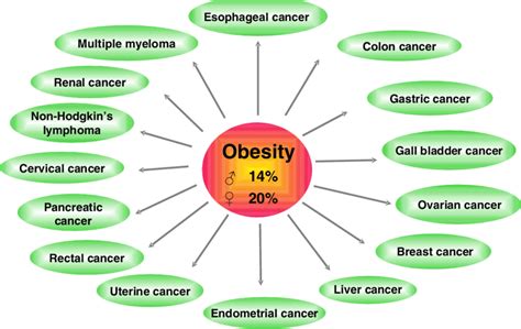 Various Cancers That Have Been Linked To Obesity In The Usa Overweight Download Scientific