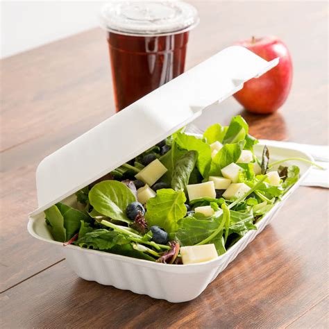 Plastic, foam, and paper containers are available with or without lids. Earth Choice 9" X 6" Hinged Lid Bagasse Container in ...