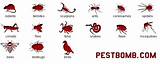 Ohio State Pest Identification Photos