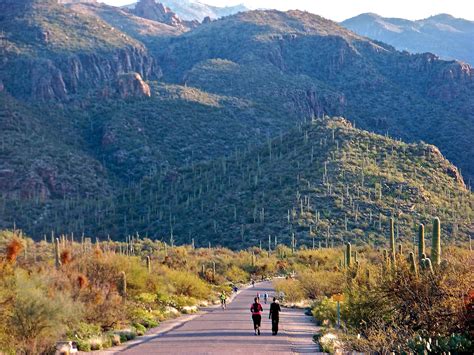 Finding Arizona Sabino Canyon Tucsons Natural Treasure