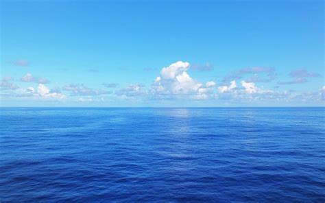 Interesting facts about oceans | Just Fun Facts