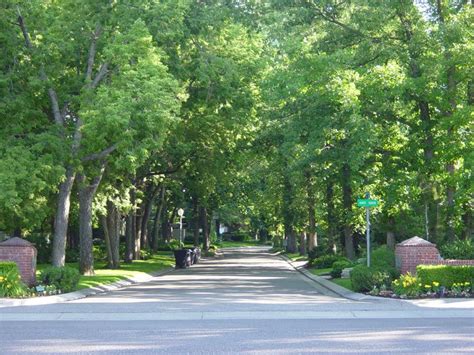 37 Best Tree Lined Streets Images On Pinterest Roads Street And Arizona