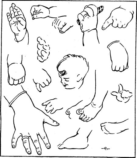 How To Draw Kids Toddlers And Baby In Correct Proportion