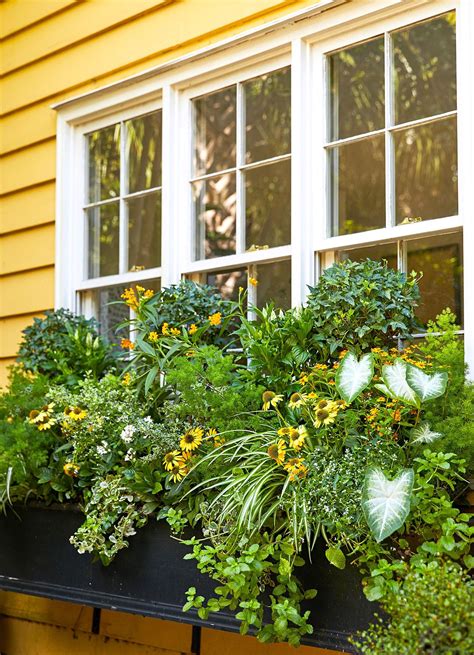 Its potted plantings also bring garden scenes up close and invite flowery perfumes indoors. How to Plant a Stunning Window Box Like a Pro | Backyard ...
