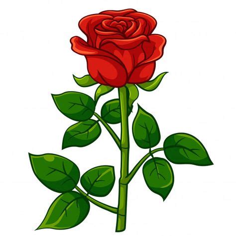 Estilo De Dibujos Animados Rosa Roja En Fleurs
