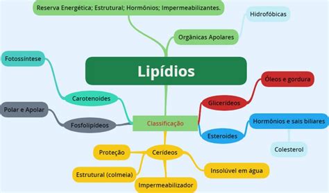 Dois Tipos De Lipídios Contidos No Organismo Humano