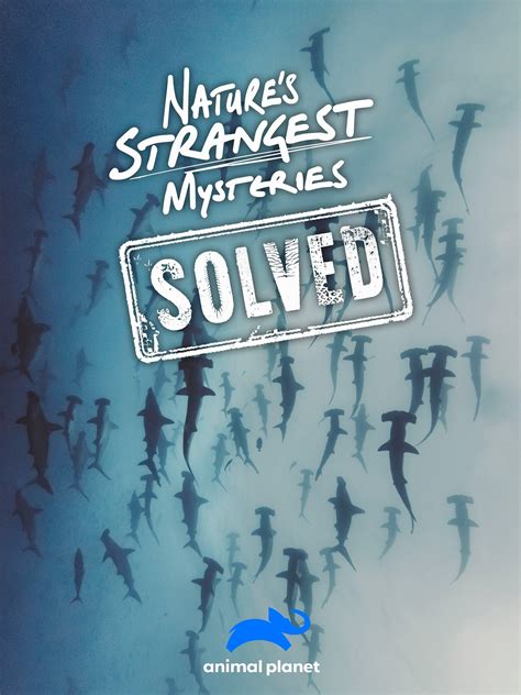 Nature's Strangest Mysteries: Solved Pictures - Rotten Tomatoes