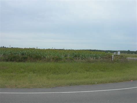 Oklahoma Sorghum Fields At The Ar Ok State Line Just South Flickr