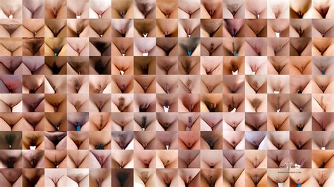 types of pussy 8 pics