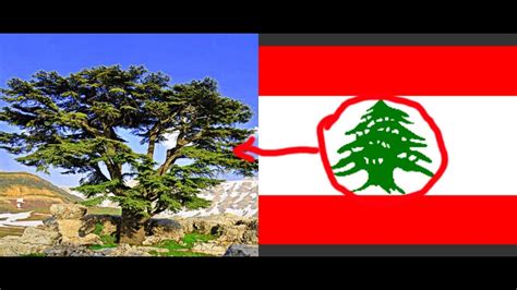 وهو ما أجبر الأطفال على ملازمة منازلهم والاكتفاء بالتعلم عن بعد عبر الانترنت. ‫#حقائق عن لبنان - تعرف لماذا يوجد شجرة في علم لبنان ...