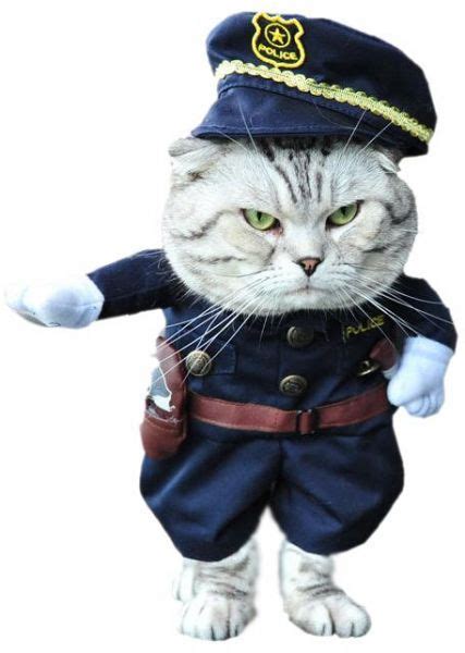 Either way, we have many of the top games related to cats. Souq | Cat clothes Dog dress costume suit for dog cat ...