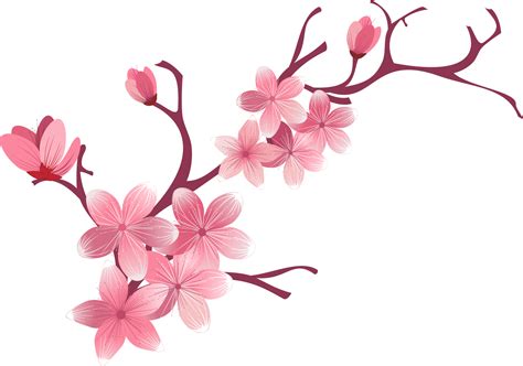 Cherry Blossom Flower Sakura Flower Sakura Png 1706x1198 Png Clipart Download