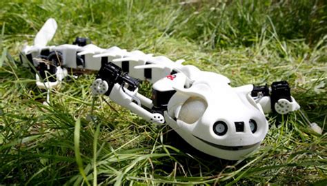 Biorobotics Creating Robots That Mimic The Movements Of Nature 3dnatives