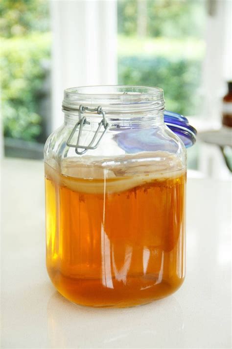 Kombucha is a fermented tea passed down by centuries of eastern tradition. Kombucha Scoby - Chá Verde - R$ 6,20 em Mercado Livre