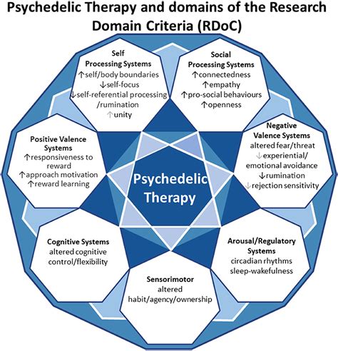 Frontiers Psychedelic Therapys Transdiagnostic Effects A Research
