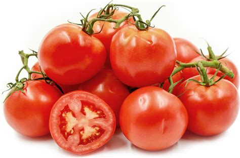 On The Vine Red Tomatoes Information Recipes And Facts