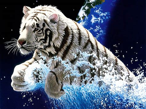 3d Tiger Wallpaper 07471 Baltana