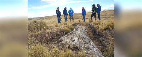 Giant 10 Million Year Old Fossil Tree In Peru Reveals Surprises About