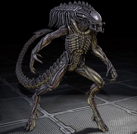 The hybrids possessed traits of xenomorphs, yautja and humans. 84 best images about PredAlien on Pinterest | Xenomorph ...