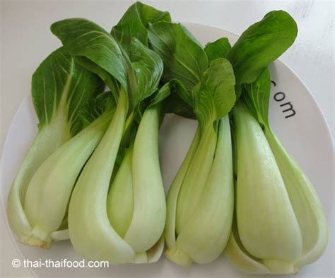 Mit 1 tl sesam bestreuen. Pak Choi | Das knackige Gemüse der thailändischen Küche