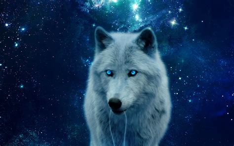 Download, share or upload your own one! Download wallpaper 1920x1200 wolf, hill, glow, predator, wildlife, photoshop widescreen 16:10 hd ...