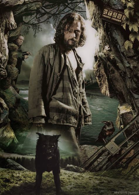 Sirius black in dog form. Harry Potter and the Prisoner of Azkaban - Prisoner of ...