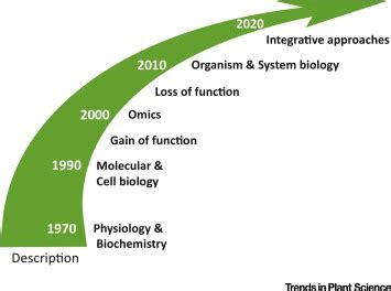 The structure that forms during cytokinesis in plants and eventually leads to the plasma for eukaryotes, the cell cycle is more complex. 25 Years of Cell Cycle Research: What's Ahead?: Trends in ...