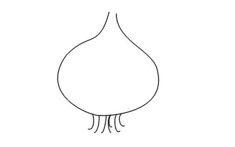 How To Draw A Simple Onion Step By Step Simple Onion Drawing For Kids