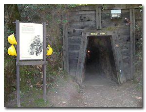 Gold bug mine, then called hattie mine, opened in 1888 and became the new hotspot for. Priest Mine - Gold Bug Park