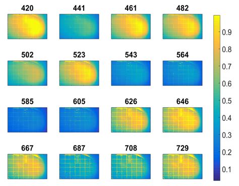 Surface reflection images at different wavelengths (16 ...