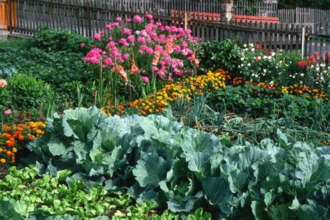 Bauerngarten Planen Beete Anlegen Gemüse And Kräuter Anbauen