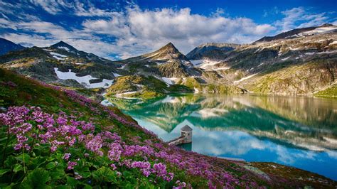 River Between Mountains And Purple Flowers With Leaves Plants Hd