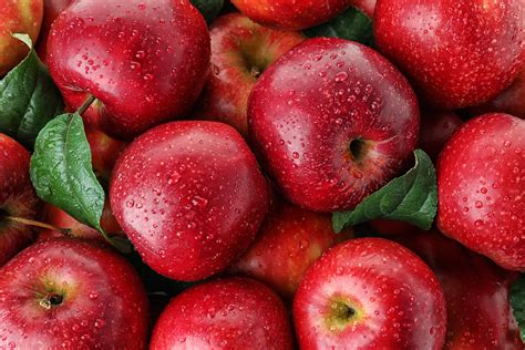 An apple is an edible fruit produced by an apple tree (malus domestica). Thailand and Taiwan will open up to Italian apples - Fruit ...